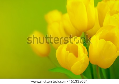 Yellow tulips on green background with space for message. Mother's Day background. Soft focus.