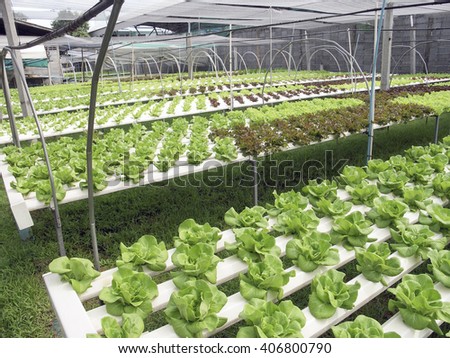 Aquaponics Stock Images, Royalty-Free Images &amp; Vectors ...