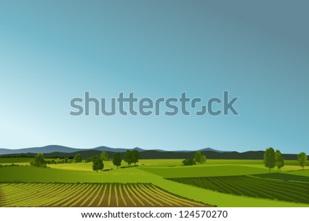 Rural landscape with green fields