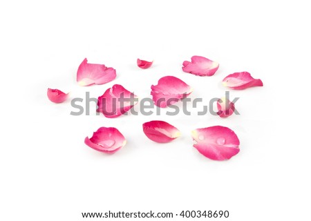 Rose Petals Stock Images, Royalty-Free Images & Vectors | Shutterstock