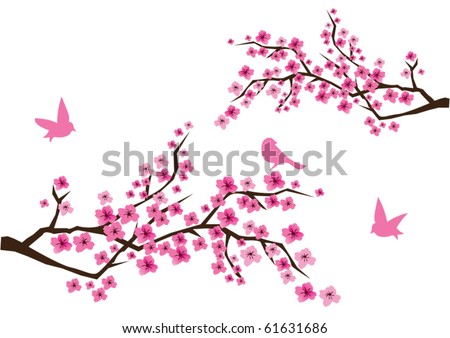 vector cherry blossom branches with pink flowers and birds. nature abstract, nature background
