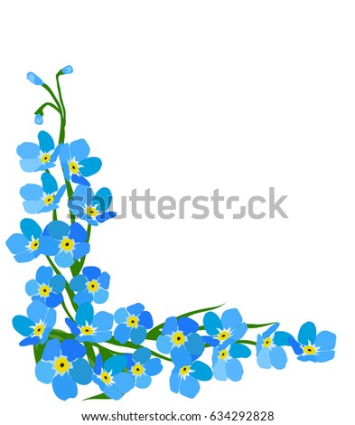 Arrangement Blue Forgetmenot Flowers Isolated On Stock Photo 102075259