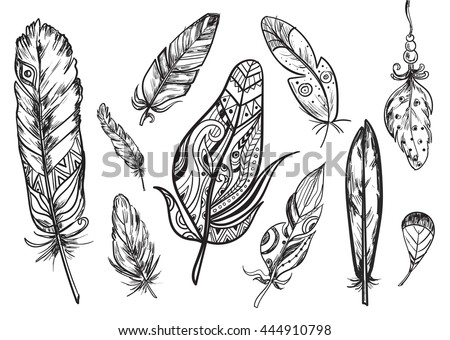 Hand Drawn Vintage Feathers Set Vector Stock Vector 445504381 ...