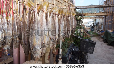 Cantonese salted fish hanging up to dry in Hong Kong fishing village, Tai O
