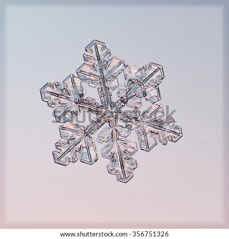 Real Snowflake Real Snowflake
