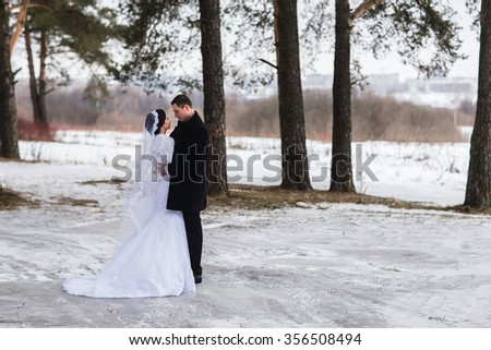 Among Our Brides The Snow photo: Among Our Brides The Snow