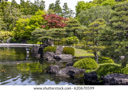 japanese beautiful and magnificent garden with pond with koi carps lot of green color - Japanese Koi Garden japanese beautiful and magnificent garden with pond with koi carps lot of green color - Japanese Koi Garden