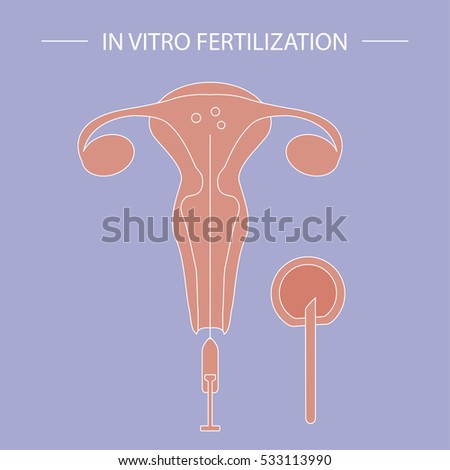 the process of in vitro fertilization An ivf 'cycle' is how we describe one round of ivf treatment starting with the first the trigger injection gets the eggs ready for ovulation – the natural process. the process of in vitro fertilization An ivf 'cycle' is how we describe one round of ivf treatment starting with the first the trigger injection gets the eggs ready for ovulation – the natural process.