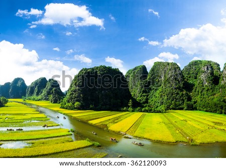Rice field and NgoDong river in NinhBinh, Vietnam