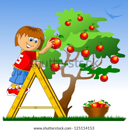 Little Boy Collects Red Apples Vector Stock Vector 125114153 - Shutterstock