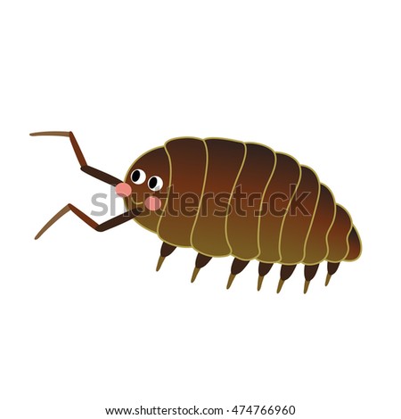 Isopod Stock Photos, Royalty-Free Images & Vectors - Shutterstock