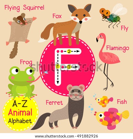 Cute Children Zoo Alphabet F Letter Stock Vector 491882926 - Shutterstock