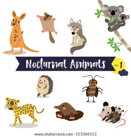 nocturnal animals berlin nocturnal animals berlin