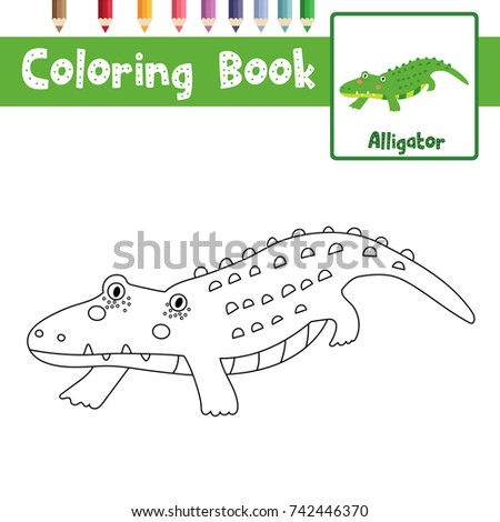 coloring page of alligator animals for preschool kids activity educational worksheet vector illustration - Coloring Page Alligator coloring page of alligator animals for preschool kids activity educational worksheet vector illustration - Coloring Page Alligator