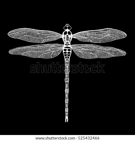 Dragonfly White Dragonfly On Black Background Stock Vector 525432466