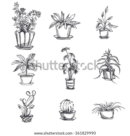 Hand Drawn Tropical House Plants Scandinavian Stock Vector 572396344 ...