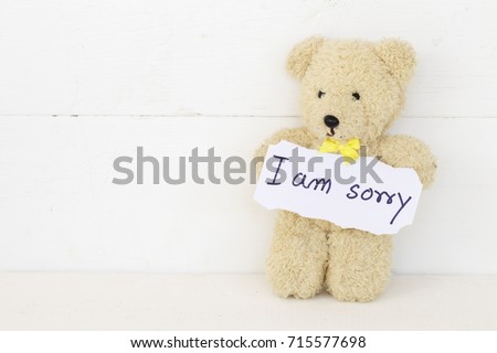 teddy bear with sorry message