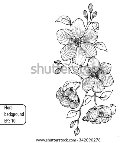 Flower Sketch Stock Images, Royalty-Free Images & Vectors | Shutterstock