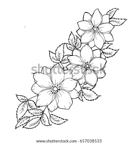 Floral Background Flowers Leaves Black White Stock Illustration ...