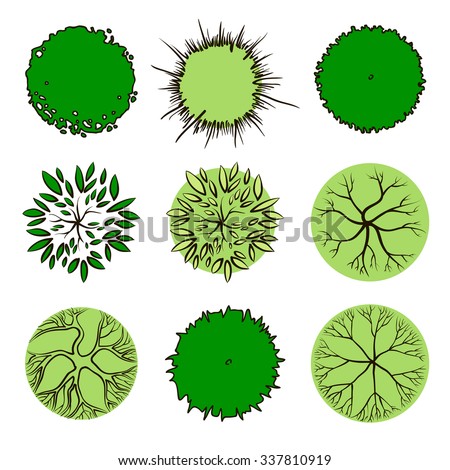 Trees Top View Vector Stock Vector 337810919 - Shutterstock