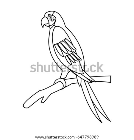 macaw parrot branch brazil bird wildlife outline