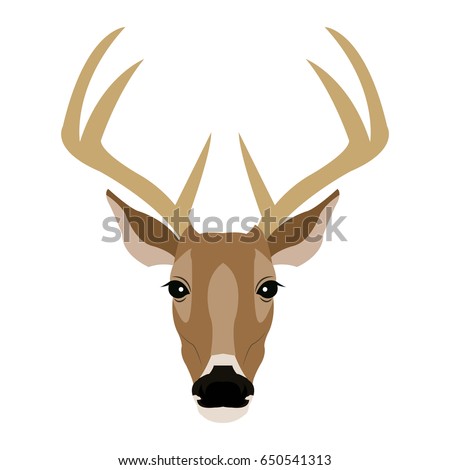 Deer Front View Stock Images, Royalty-Free Images & Vectors | Shutterstock