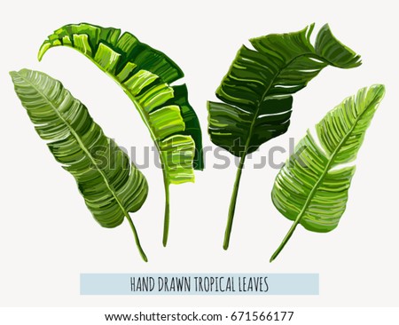 Beautiful hand drawn botanical vector illustration with tropical leaves. Isolated on white background.