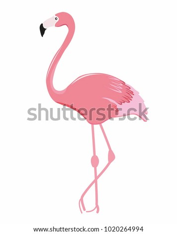 Pink Flamingo Stock Images, Royalty-Free Images & Vectors | Shutterstock