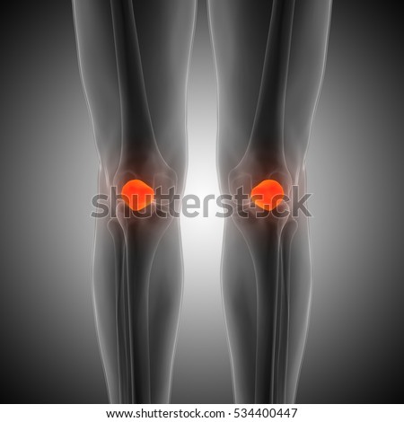 Patella Stock Images, Royalty-Free Images & Vectors | Shutterstock