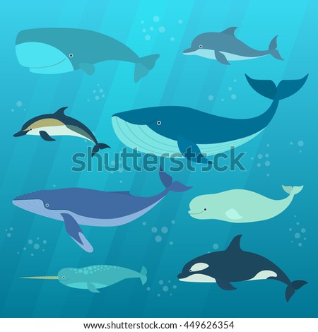 For the moby dick vector like tell Indefinitely moby dick vector pity