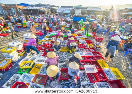 Long Hai, Vietnam - 03 July 2016: Activities of fish woman sellers in Long Hai market are preparing marine fish for the morning market.