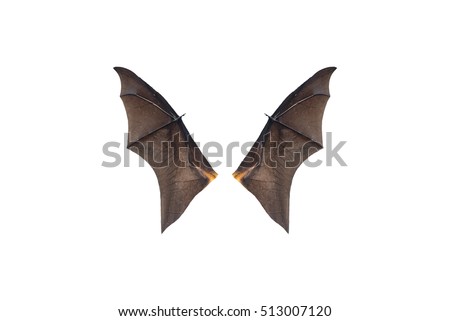 Vampire Bat Stock Images, RoyaltyFree Images  Vectors  Shutterstock