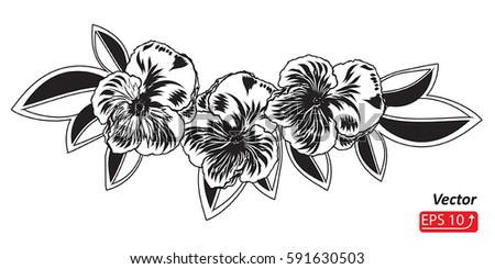 Pansies Stock Images, Royalty-Free Images & Vectors | Shutterstock