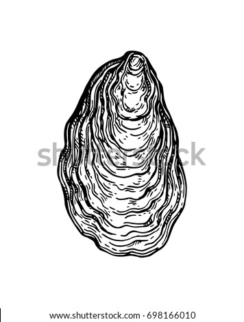 Oyster Shell Stock Images, Royalty-Free Images & Vectors | Shutterstock