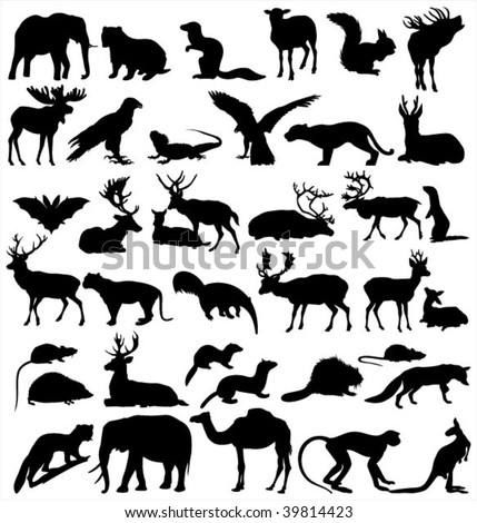 Bear Deer Silhouettes Stock Photos, Images, & Pictures | Shutterstock