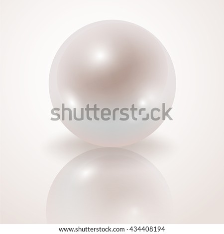 Pearl. White Pearl isolated on white background, decor, decoration. Realistic vector object.