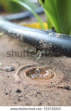 Irrigation drop - Stock Image