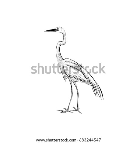 heron tattoo stock images royalty free images u0026 vectors heron tattoo stock images royalty free images u0026 vectors