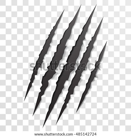 claw scratch stock images royalty free images amp vectors claw scratch stock images royalty free images amp vectors