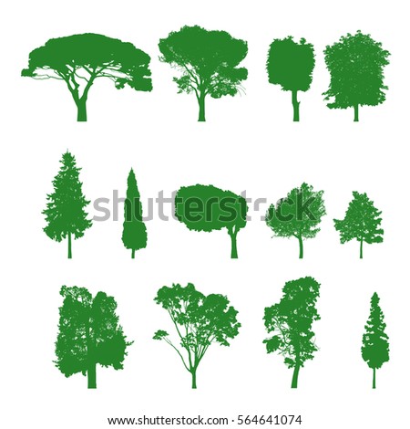 Pine Tree Silhouette Stock Images, Royalty-Free Images & Vectors