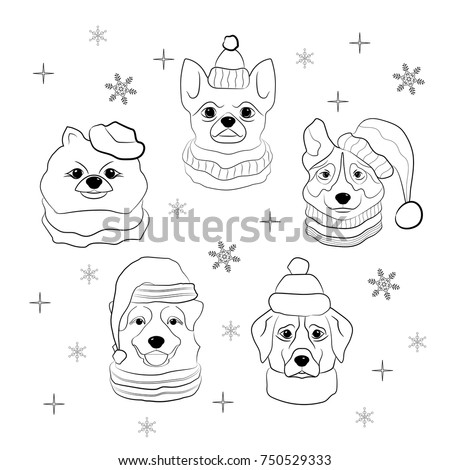 head dog winter hat scarf set stock vector 750529333