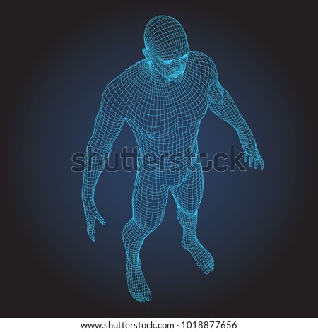 Wire Frame Human Full Body Virtual Stock Vector 1018877656 - Shutterstock