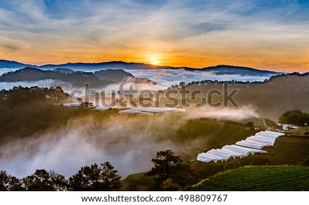 Amazing sunrise in Trai Mat Garden, Da Lat City, Famous View In Da Lat City Da Lat is highland city fog in the morning. Da Lat is one of the beautiful and the famous city in Viet Nam.