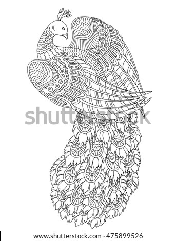 Printable Coloring Page For Adults With Peacock Hand Drawn Vector Illustration