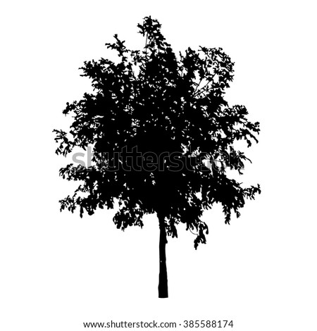 Weeping Willow Tree Silhouette Stock Vector 14535949 - Shutterstock