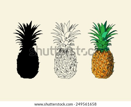 Three types of drawing pineapple (silhouette, lines, colored)