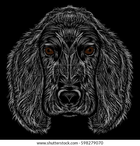 Vector dog. Abstract silhouette of a head Cocker Spaniel on a black background