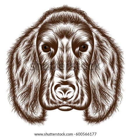 Cocker Spaniel. Vector silhouette of a dog's head