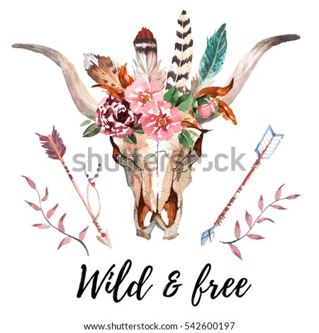 buffalo skull stock images royalty free images amp vectors buffalo skull stock images royalty free images amp vectors