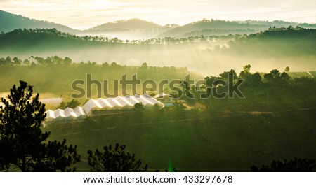 DA LAT, VIETNAM, May 30, 2016: Pine forest with colorful cloud, Da Lat is highland city fog in the morning. Da Lat is one of the beautiful city in Viet Nam.